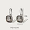 Sophisticated Drop Earrings